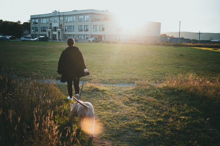 Dogsitter a Busto Arsizio – Educazione e Passeggio Cani | MagicWalk