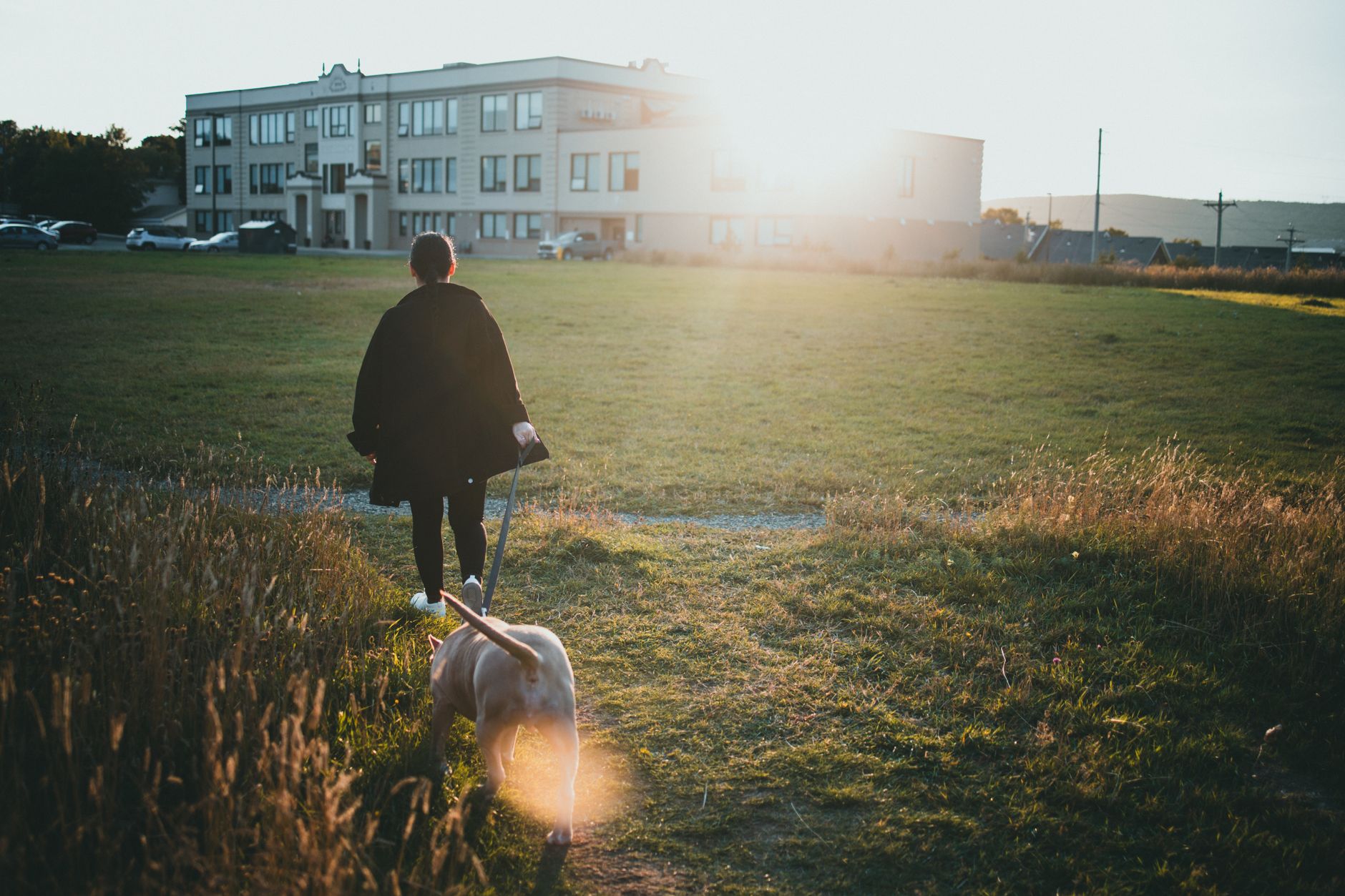 Dogsitter a Busto Arsizio – Educazione e Passeggio Cani | MagicWalk