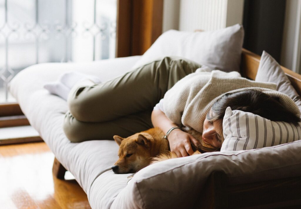 Dog sitting notturno Varesotto: come funziona e quando richiederlo